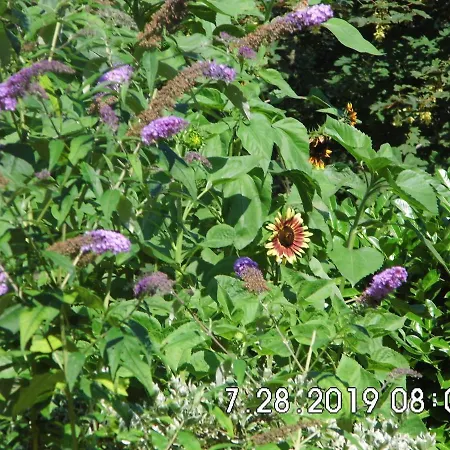 דירה Seerose Neppermin