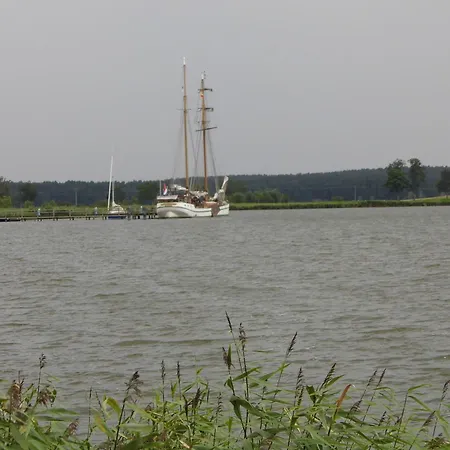 Seerose