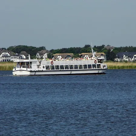 Seerose Neppermin