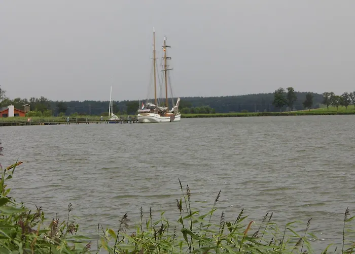 Seerose