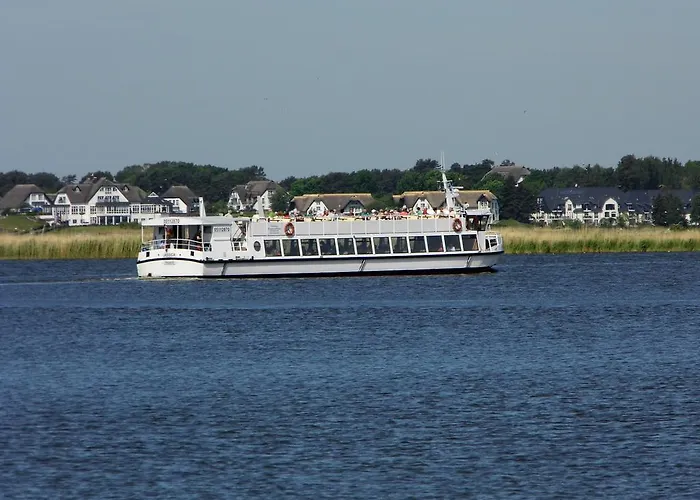 Seerose Neppermin